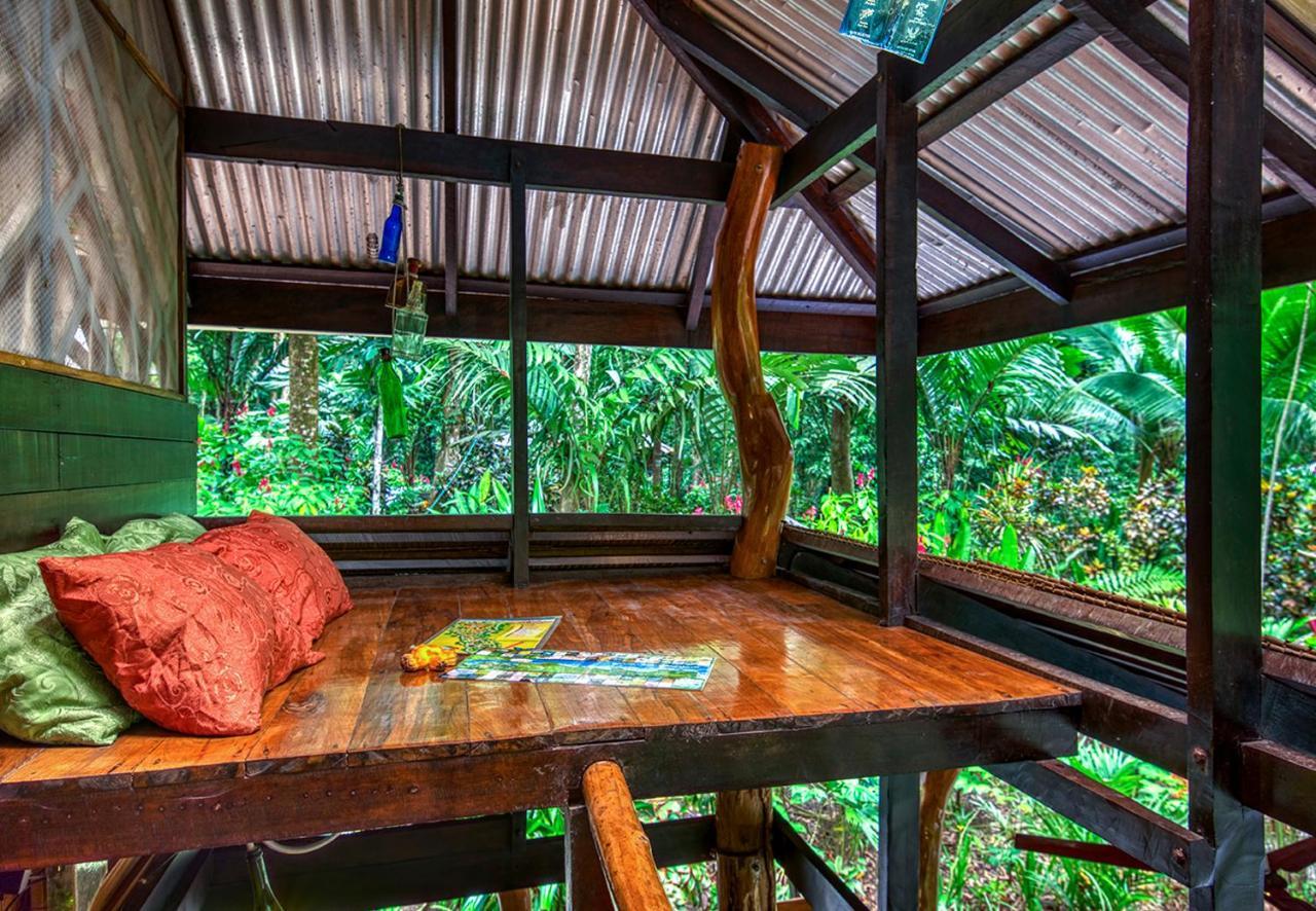 Congo Bongo Ecovillage Costa Rica Puerto Viejo de Talamanca Exterior foto