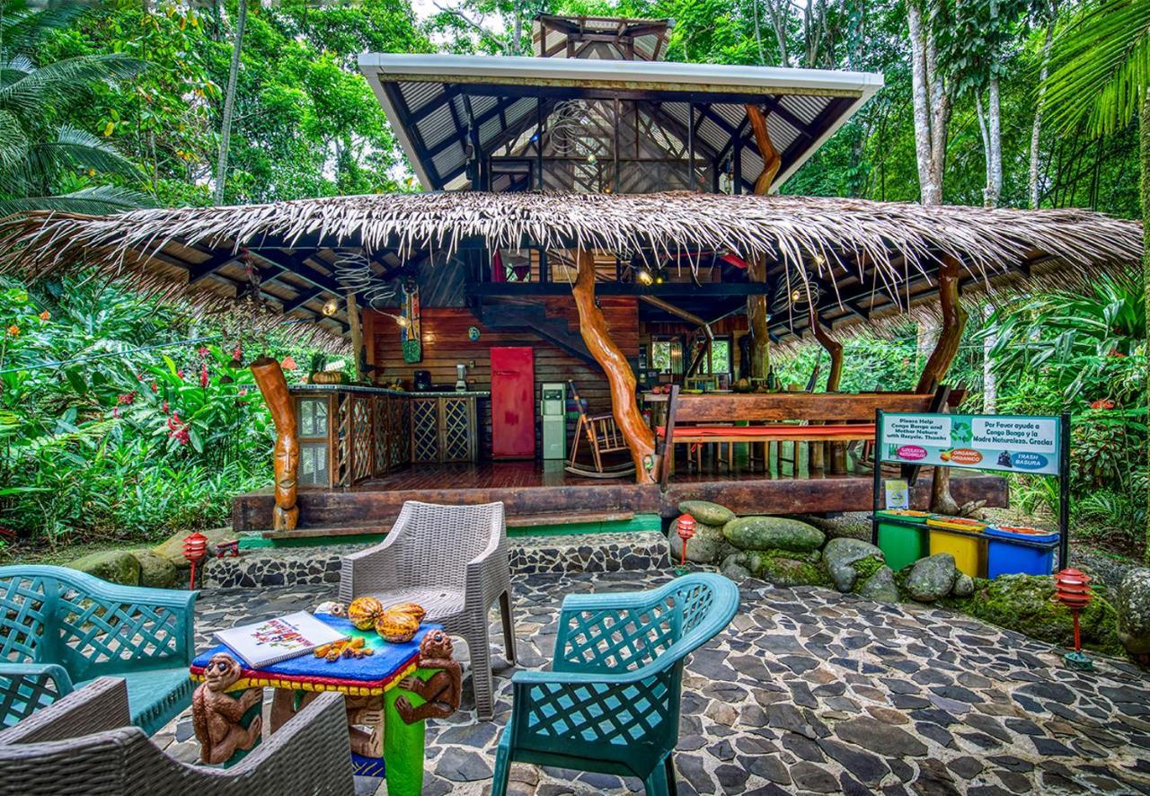 Congo Bongo Ecovillage Costa Rica Puerto Viejo de Talamanca Exterior foto