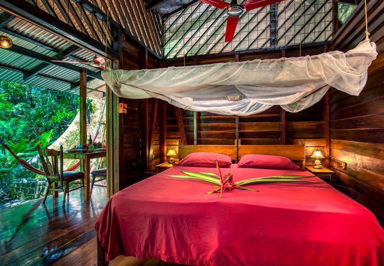 Congo Bongo Ecovillage Costa Rica Puerto Viejo de Talamanca Exterior foto